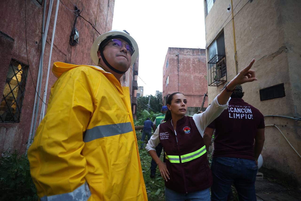 uploads/6/32/01 (2047).Jpeg